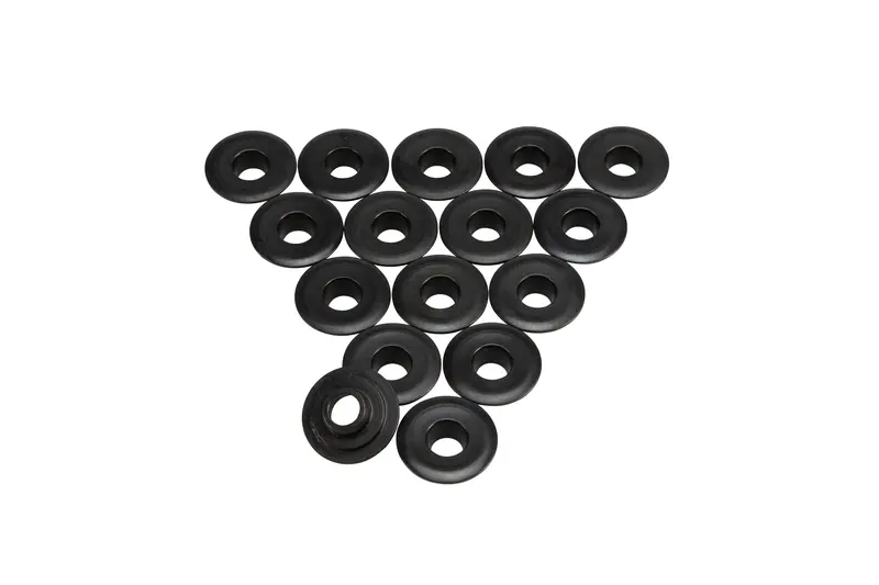 Lunati Dual Valve Spring Retainer Set – 10" Diameter, Model 75748-16 1